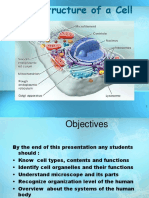 Cell Structure