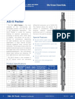 D&L Double Grip Pkr-Asi-Xpacker1c PDF