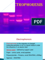 Electrophoresis