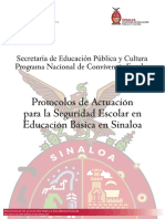 Protocolo de Seguridad PDF