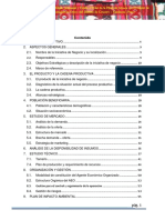 Plandenegociooruro PDF