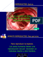 Aparato Reproductor