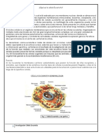 Investigación Célula Eucariótica