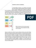 Transporte A Través de La Membrana PDF