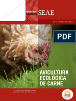 CT Avicultura Carne