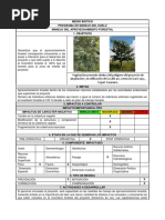 Anexo 2. Ficha Aprovechamiento Forestal