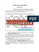 Infarto Agudo Do Miocárdio