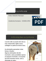 Sistema Articular Aula 4