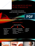 Análisis de La Musculatura Orofacial y Maxilar