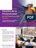 Brochure Gestion de La Productividad