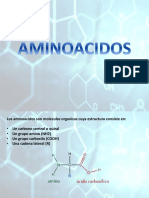 Aminoacidos