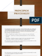 Exposición Principios Procesales