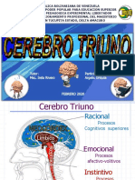 Cerebro Triuno