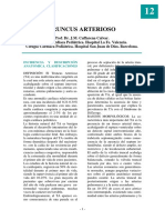 Tronco Arterioso PDF