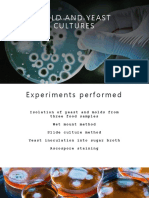 MOLD AND YEAST CULTURES - Pps