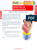 Etapas de La Reproducción para Sexto Grado de Primaria PDF