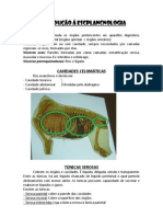 1 - Introdução À Escplancnologia