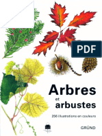 Arbres Et Arbustes - Grund