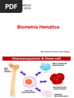 CLASE 02. Serie Roja Hemograma Automatizado