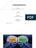 Cuadro Sipnotico Epistemologia