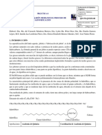 Saponificación PDF