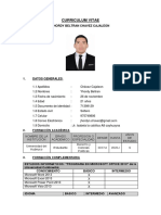 Curriculum Vitae