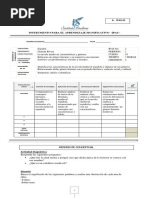 Ipas 2, Español 10. Primer Período.