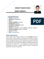 CV Actualizado