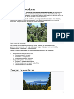 Bosque de Frondosas