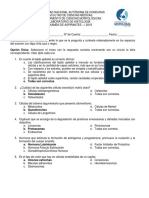 Pauta EXAMEN TEÓRICO