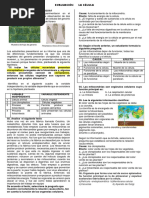 Preguntas La Célula