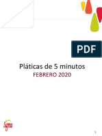 Platicas de Seguridad Formato PDF