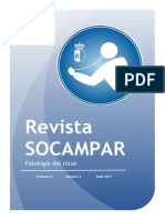 Revista SOCAMPAR VOL 2. Num. 2