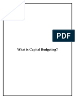 Capital Budgeting