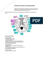 Anatomy 