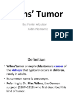 Wilms' Tumor: By: Feniel Alquizar Aldin Piamonte