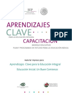 Curso - Educación Inicial - Un Buen Comienzo PDF