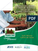 Practica de Injerto y Tipos de Injertos en Cacao