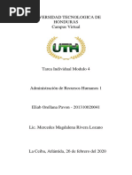 Tarea Individual Modulo 4 ARH