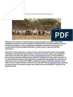 Agroforestry Dryland Introduction