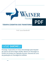 Módulo 3 - TCC Do Transtorno Depressivo - Prof. Lucas Bandinelli