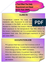 Factors That Affect BMR