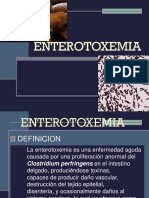 Enterotoxemia 2008 PDF