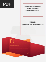 Unidad 1 Flash PDF