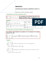 Determinantes PDF