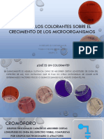 Efecto de Los Colorantes Sobre El Crecimiento de