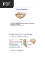 Tronco Cerebral