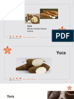 Yuca