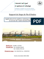 Rapport de Stage PDF