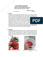 Inf. Laboratorio de Biología ADN Fresas